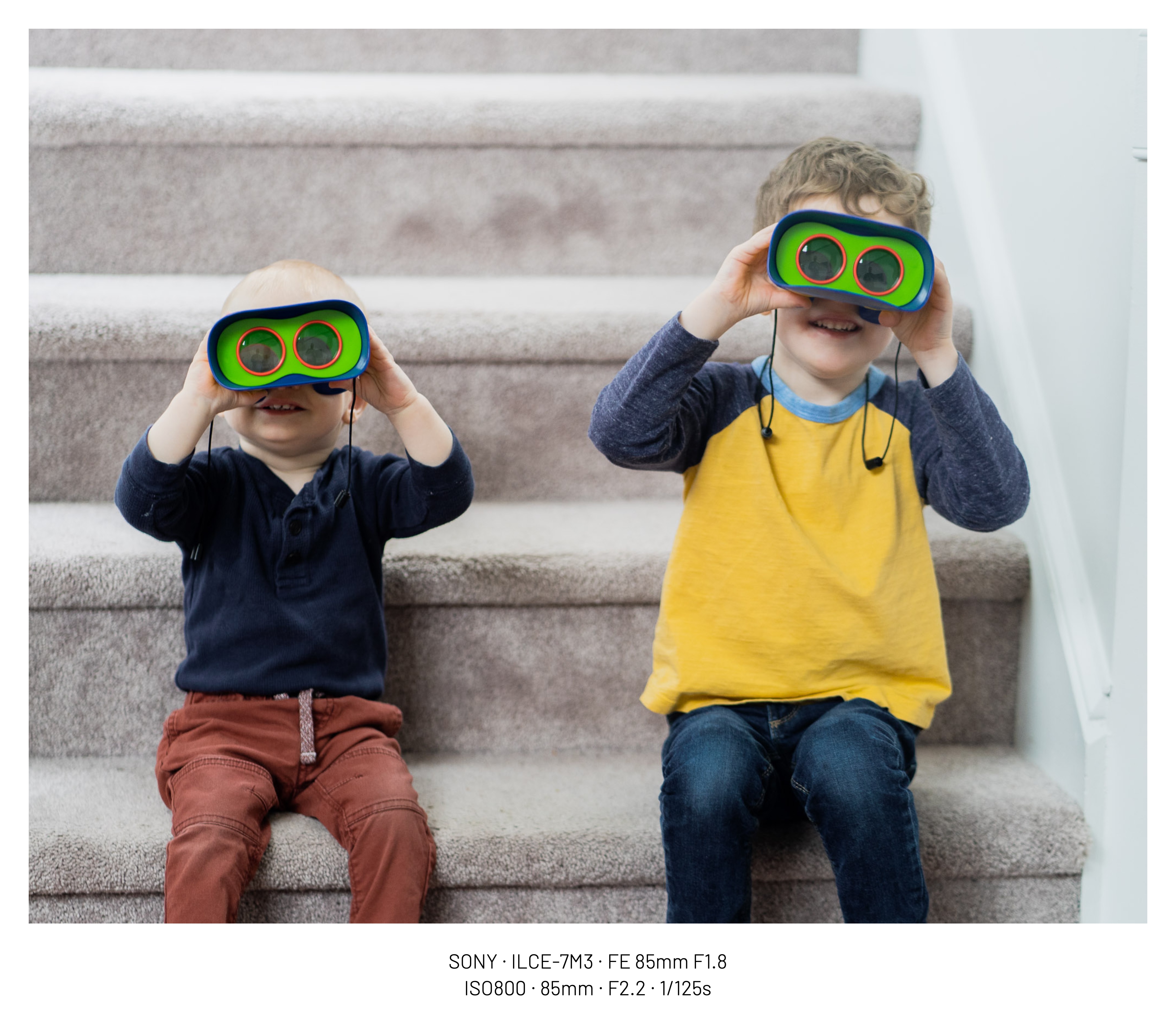 Featured image of post The Sony A7 iii after 5 years